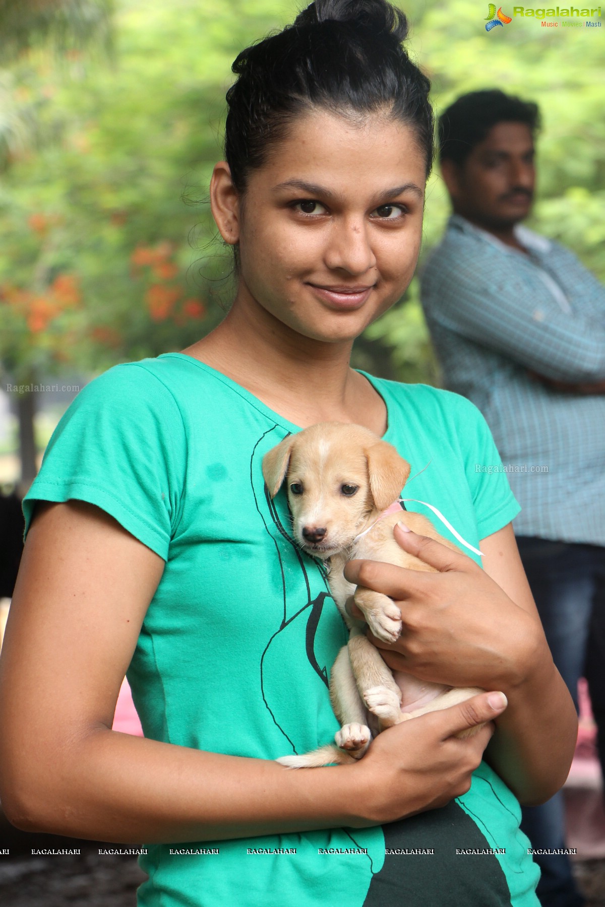 9th Pet Adoption Drive in Hyderabad