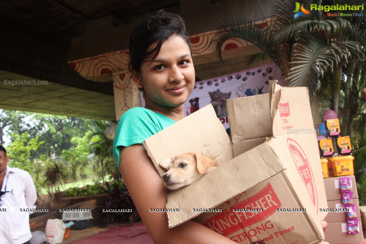 9th Pet Adoption Drive in Hyderabad