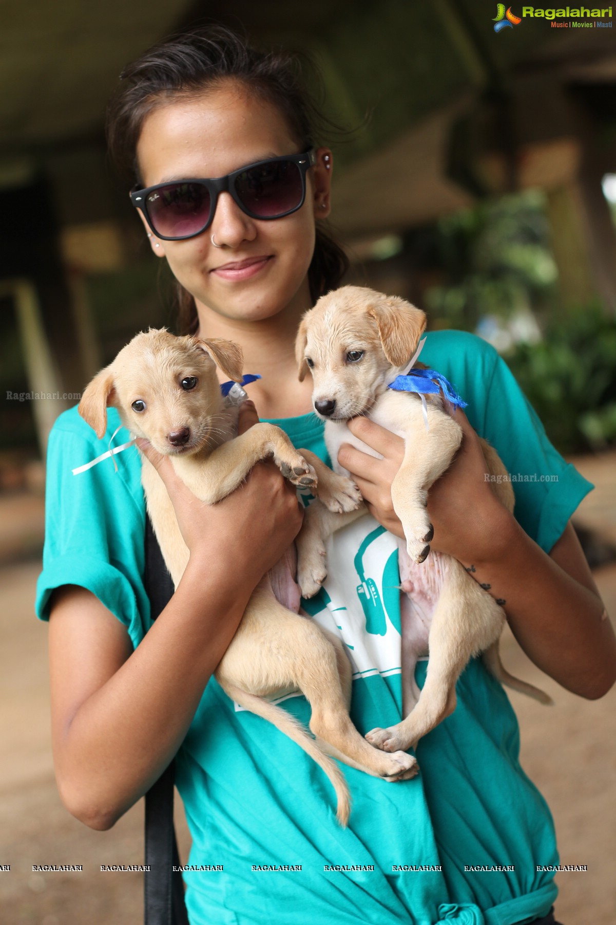 9th Pet Adoption Drive in Hyderabad