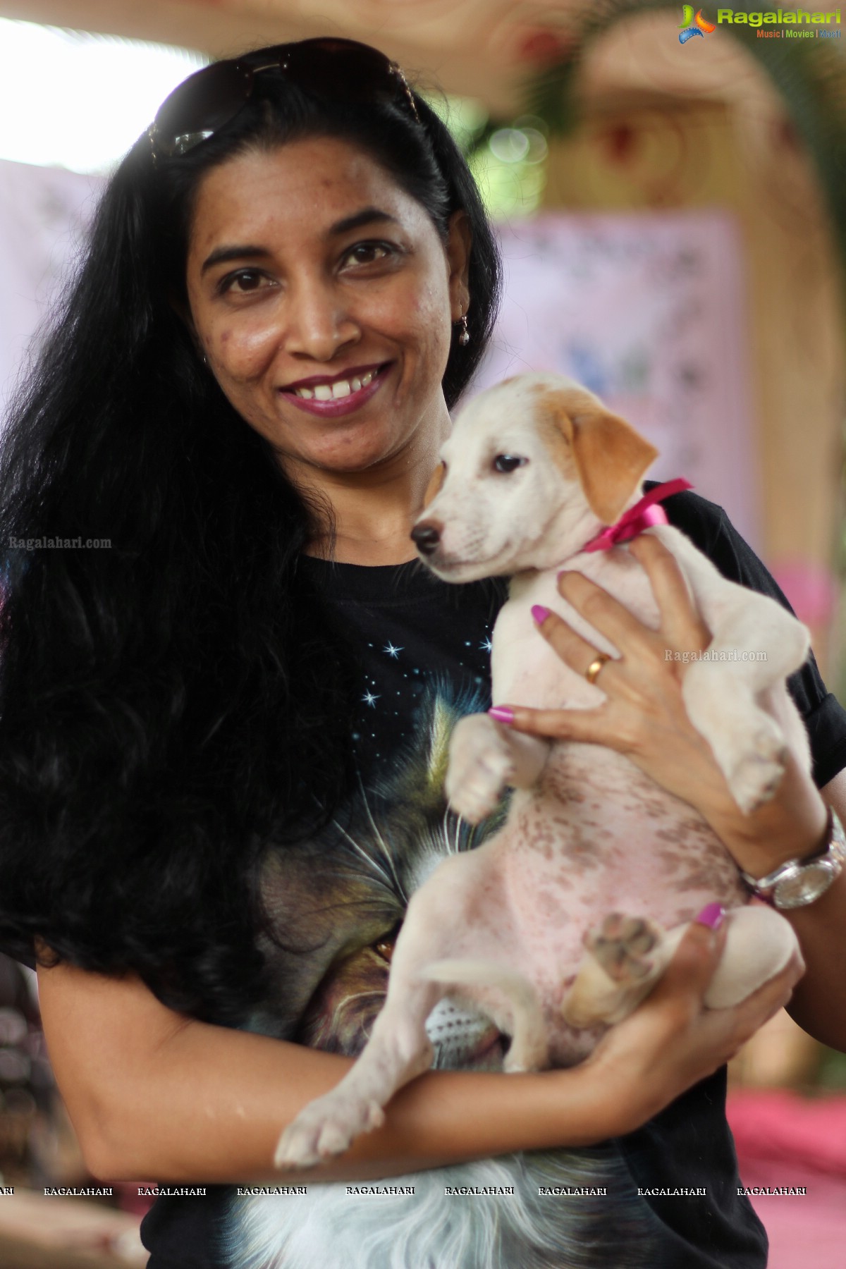 9th Pet Adoption Drive in Hyderabad