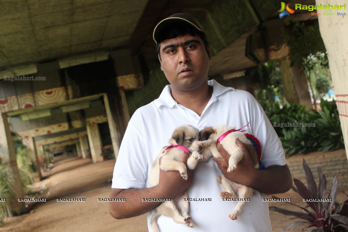 9th Pet Adoption Drive in Hyderabad