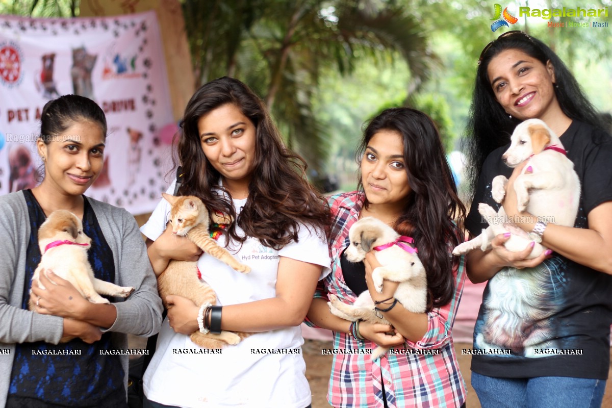 9th Pet Adoption Drive in Hyderabad