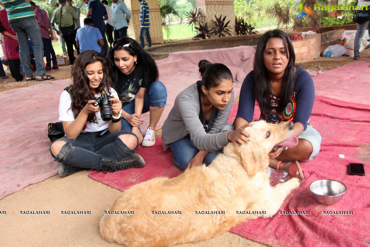 9th Pet Adoption Drive in Hyderabad