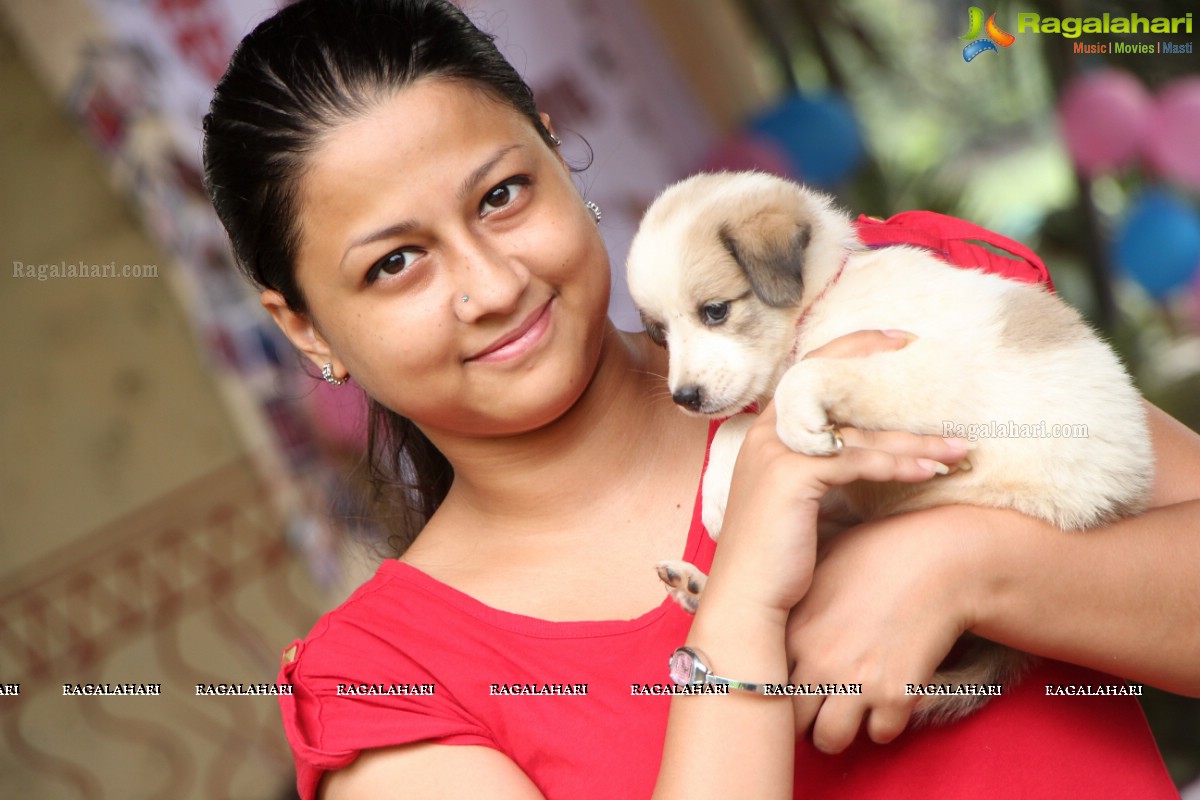 9th Pet Adoption Drive in Hyderabad