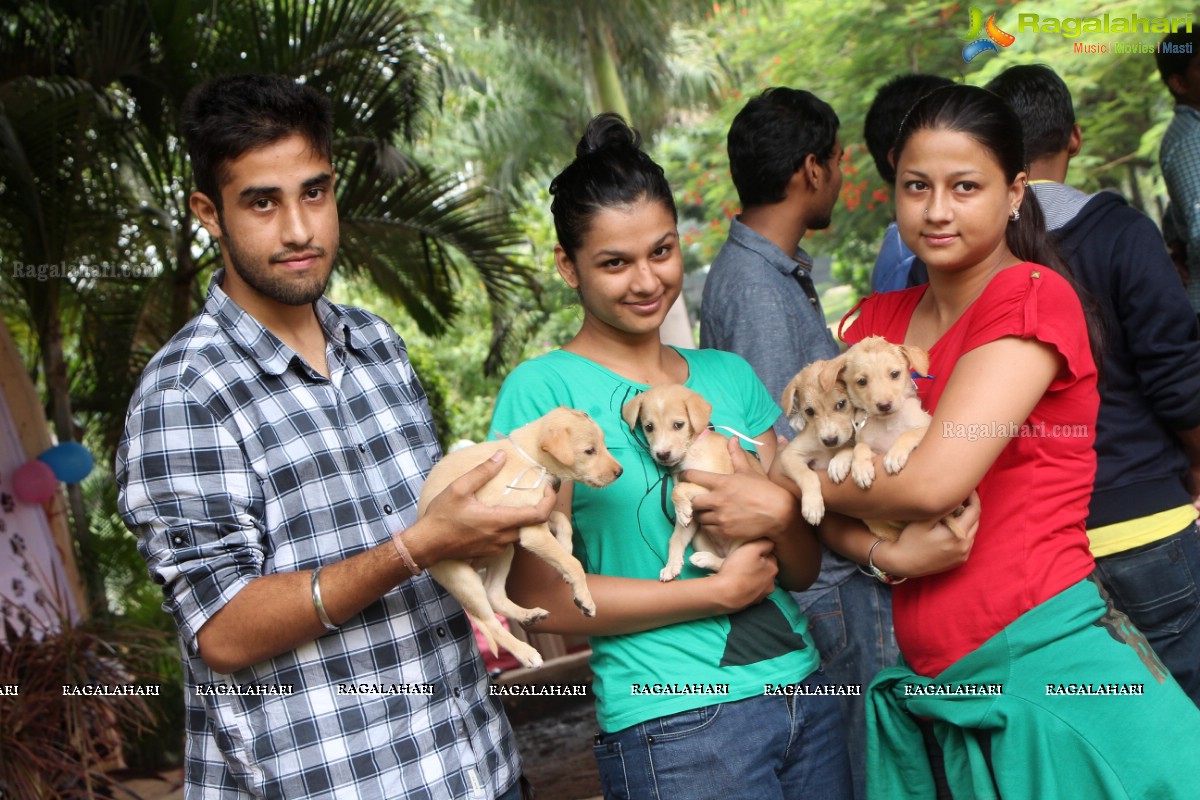 9th Pet Adoption Drive in Hyderabad