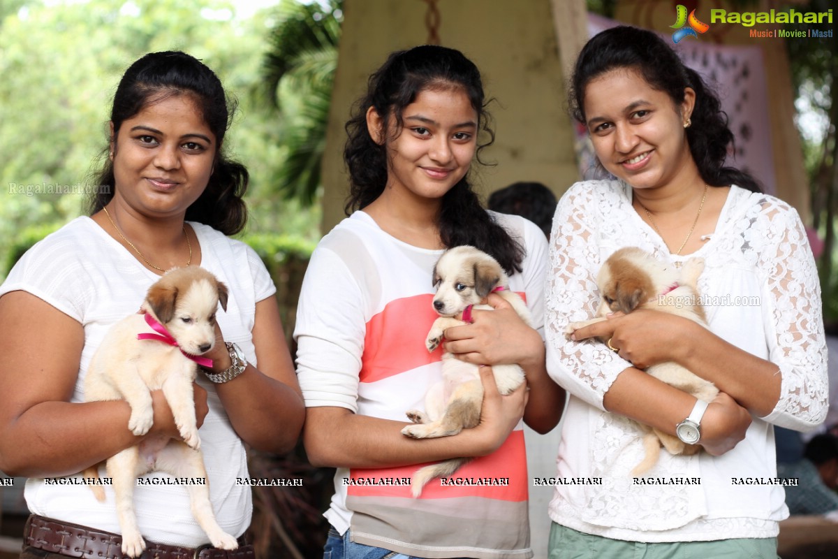 9th Pet Adoption Drive in Hyderabad