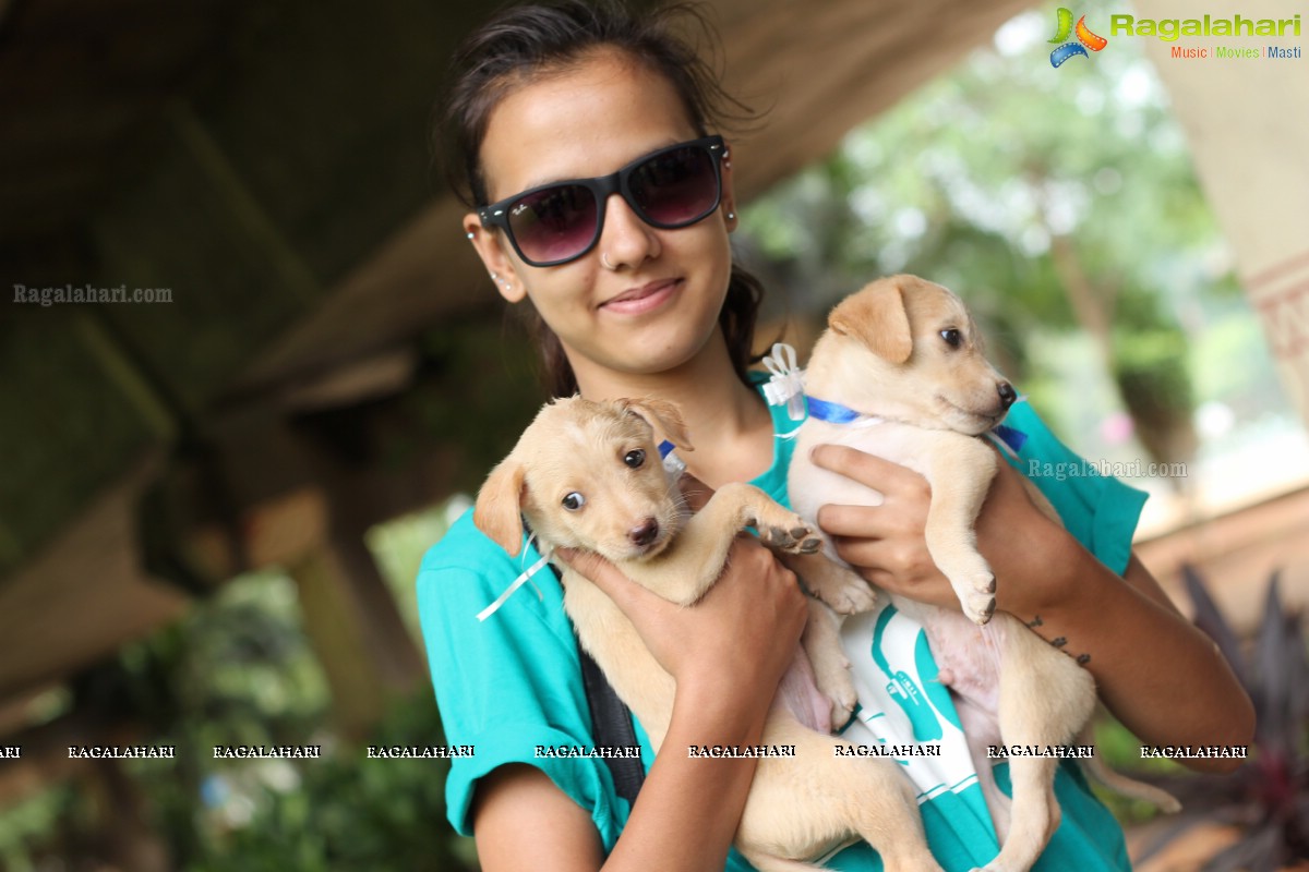 9th Pet Adoption Drive in Hyderabad