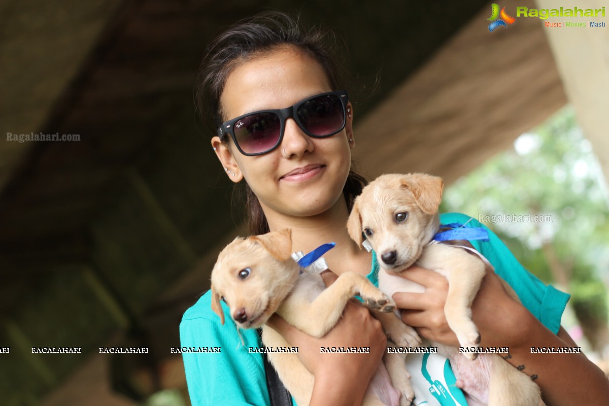 9th Pet Adoption Drive in Hyderabad