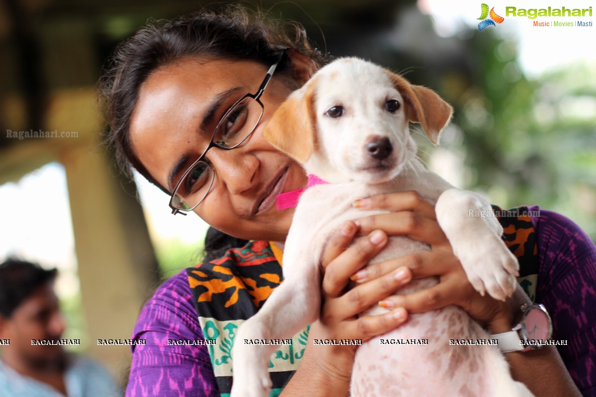 9th Pet Adoption Drive in Hyderabad