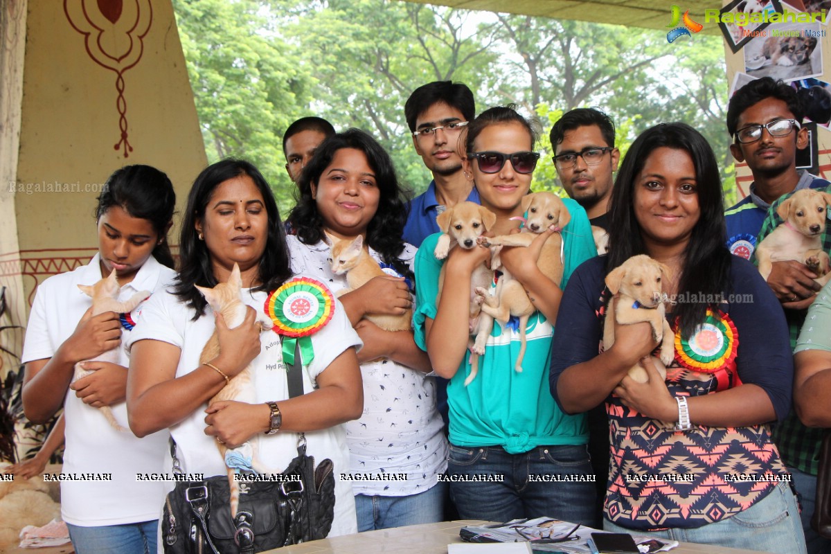 9th Pet Adoption Drive in Hyderabad