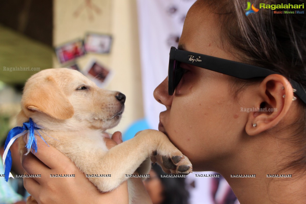 9th Pet Adoption Drive in Hyderabad