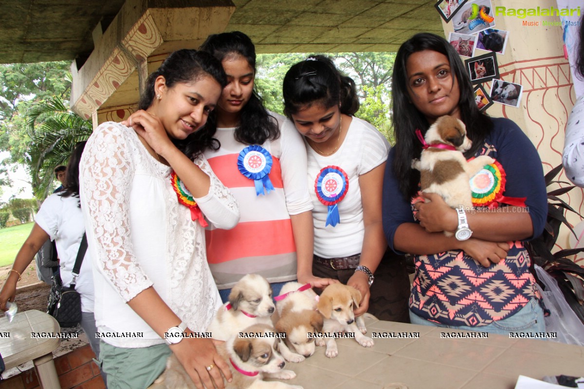 9th Pet Adoption Drive in Hyderabad