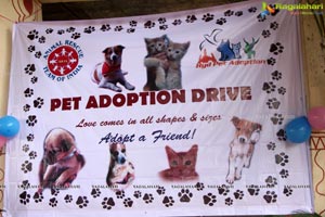 Pet Adaption Drive