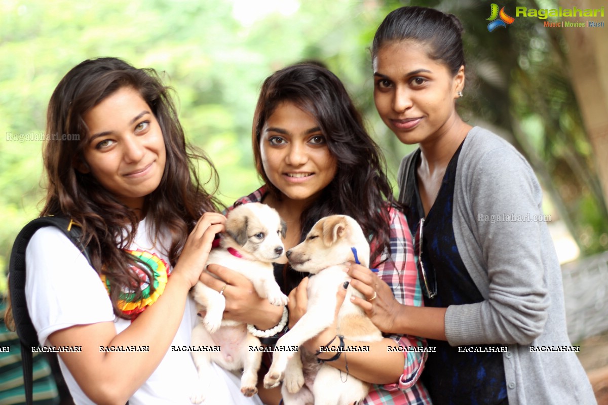 9th Pet Adoption Drive in Hyderabad