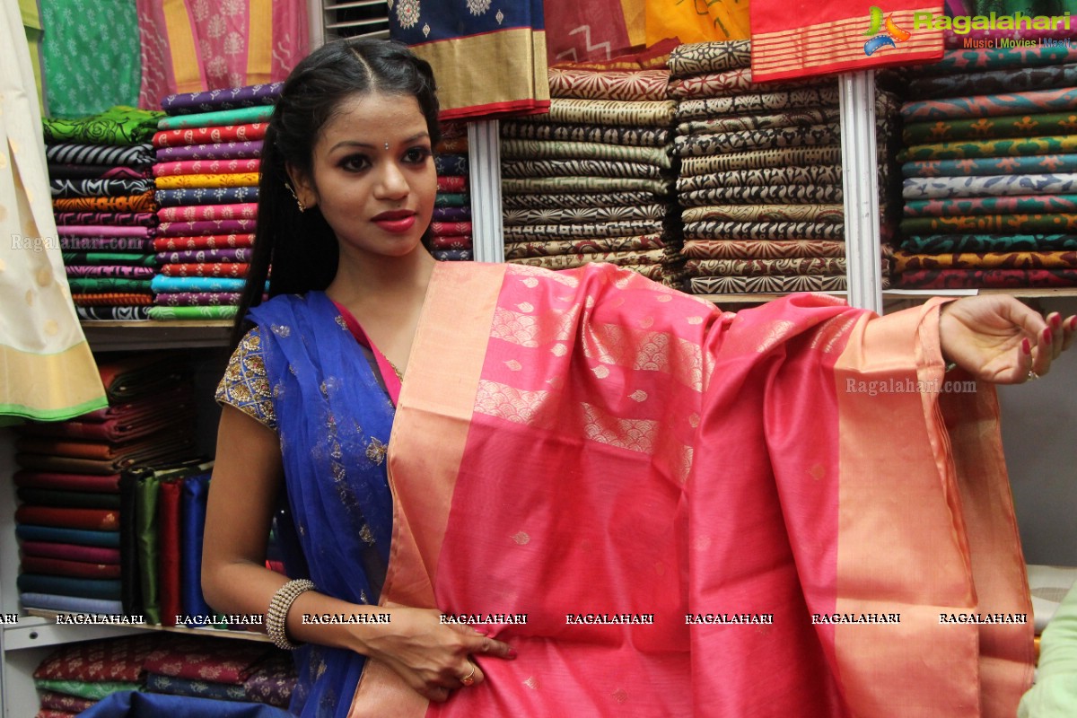 Silk India 2015 Exhibition cum Sale at Sri Raja Rajeshwari Gardens, Hyderabad