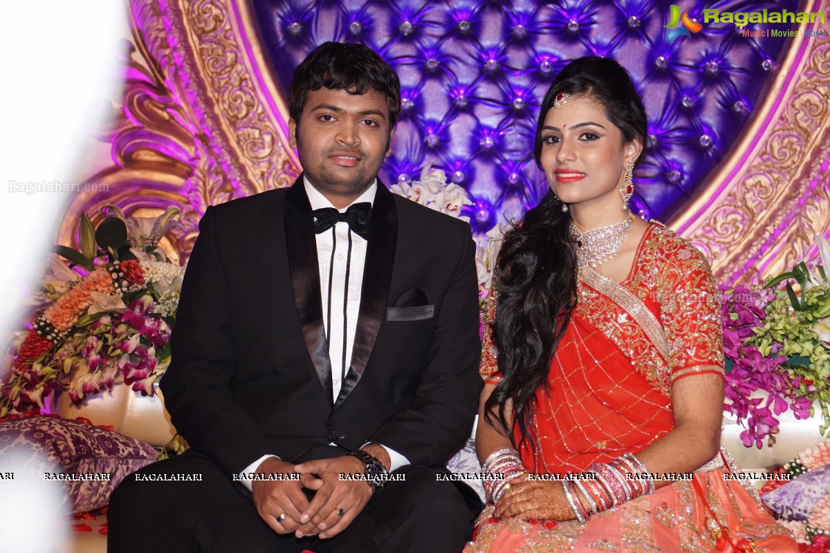 Grand Wedding Reception of Dr. Supreeth Reddy-Dr. Shalini Reddy at JRC Convention