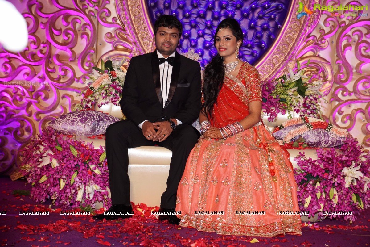 Grand Wedding Reception of Dr. Supreeth Reddy-Dr. Shalini Reddy at JRC Convention