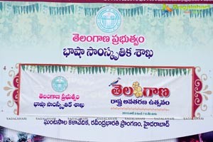 Telangana State Formation Celebrations