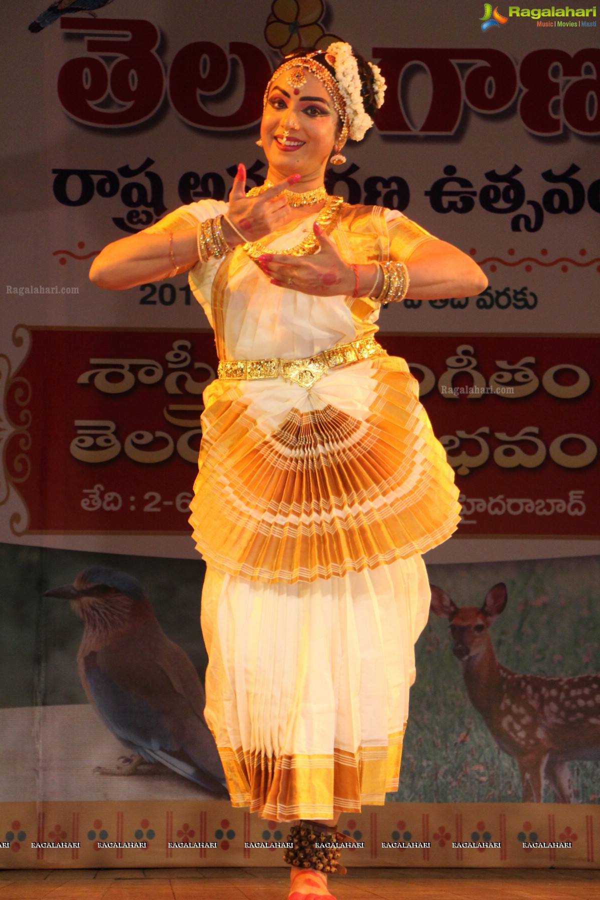 Telangana State Formation Day Celebrations 2015 (Day 2)