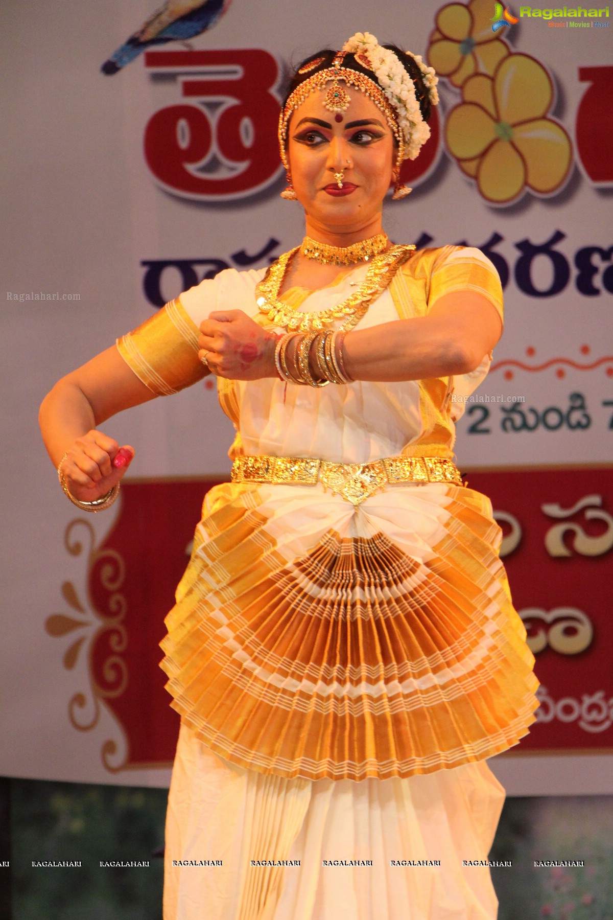 Telangana State Formation Day Celebrations 2015 (Day 2)