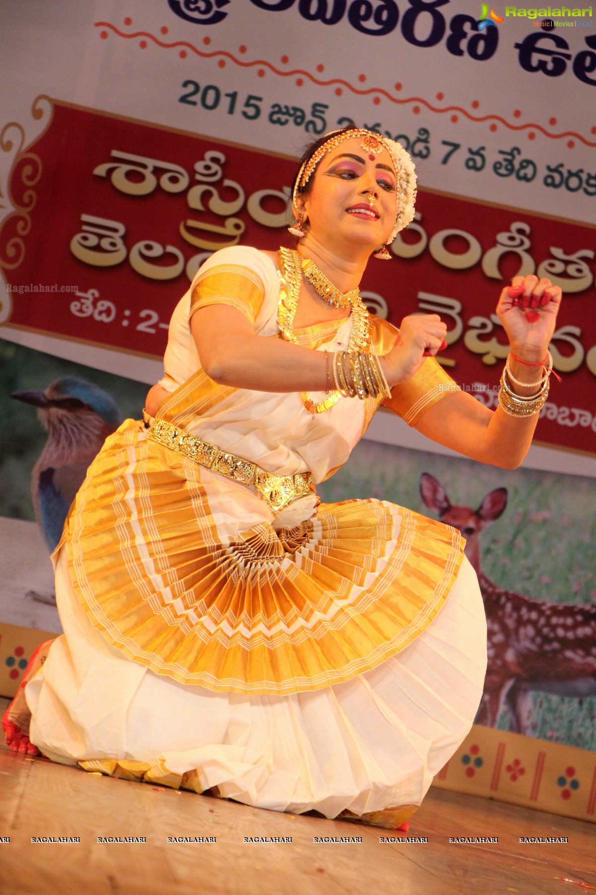 Telangana State Formation Day Celebrations 2015 (Day 2)