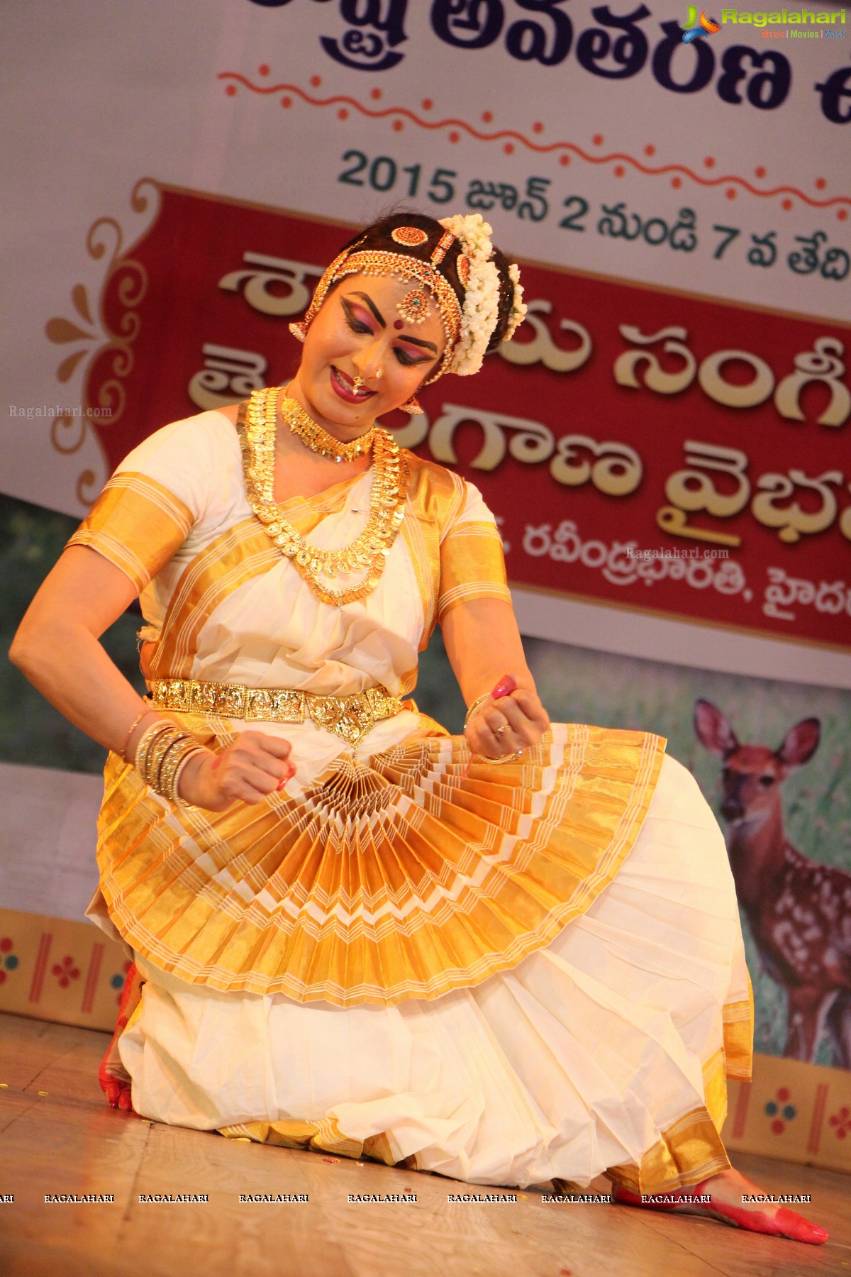 Telangana State Formation Day Celebrations 2015 (Day 2)