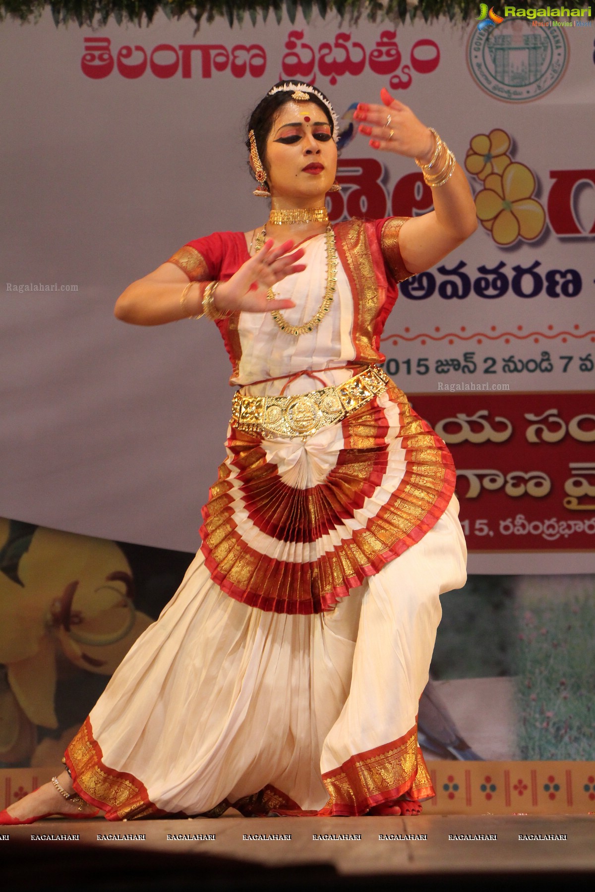 Telangana State Formation Day Celebrations 2015 (Day 2)