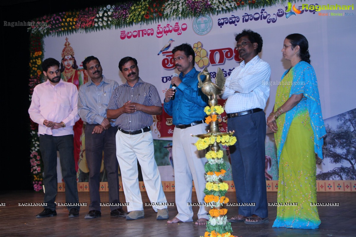 Telangana State Formation Day Celebrations 2015 (Day 2)