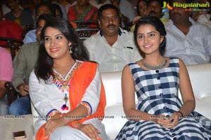 A Aa Success Meet