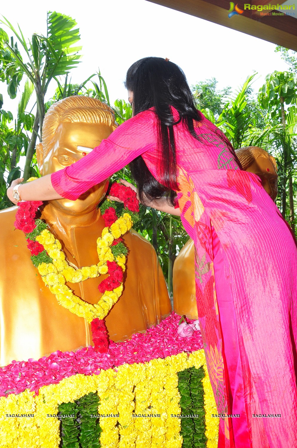 Nandamuri Balakrishna Birthday Celebrations 2016 at Basavatarakam Cancer Hospital