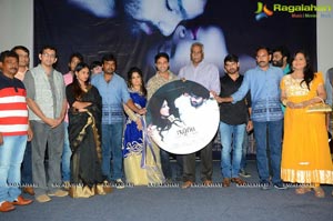 Iddaram Audio Release