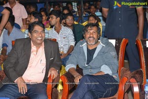 Okka Ammayi Thappa Audio Success Meet