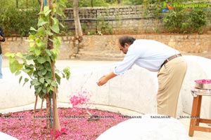 Ramanaidu Memorial