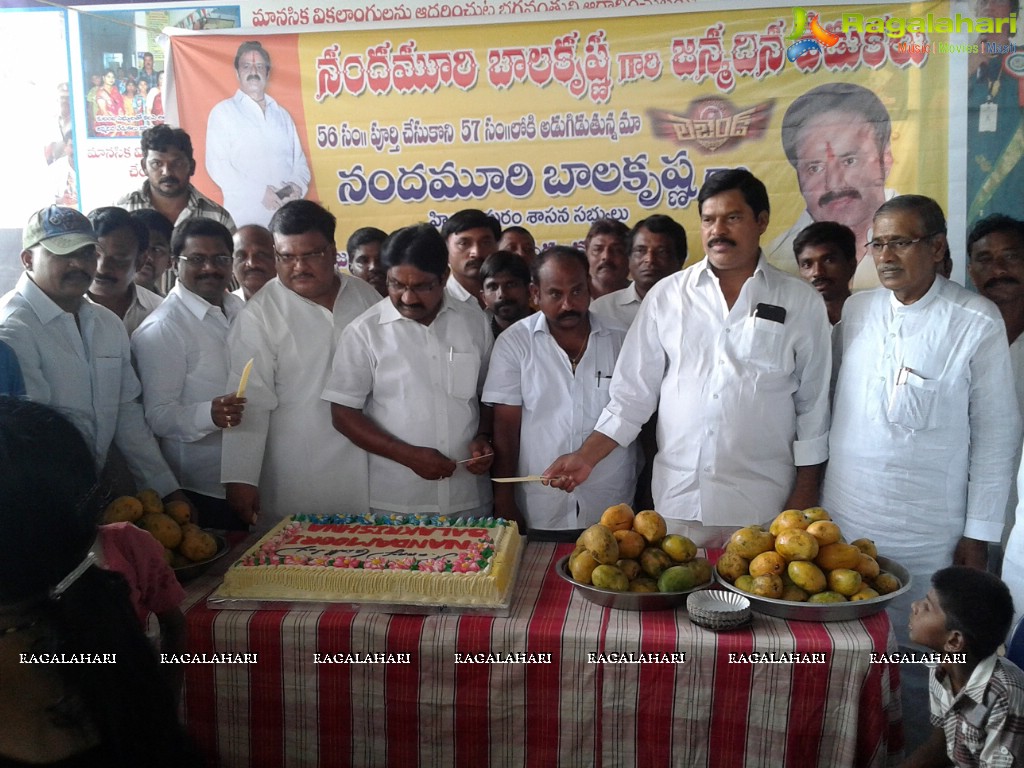Balakrishna Birthday Celebrations at Kadapa