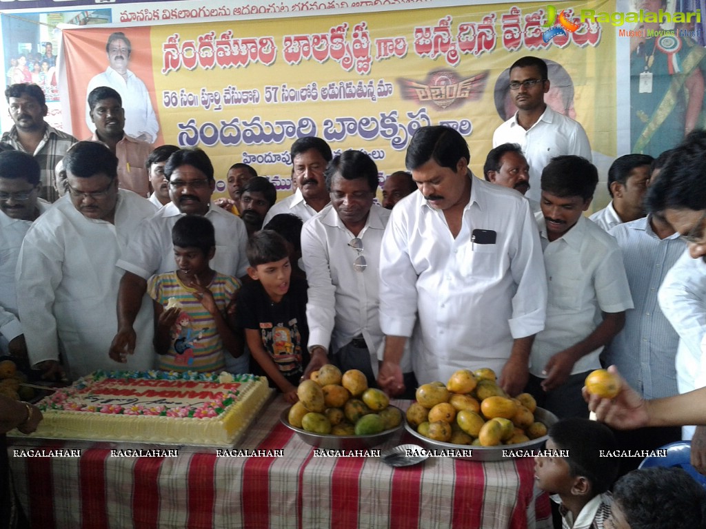 Balakrishna Birthday Celebrations at Kadapa