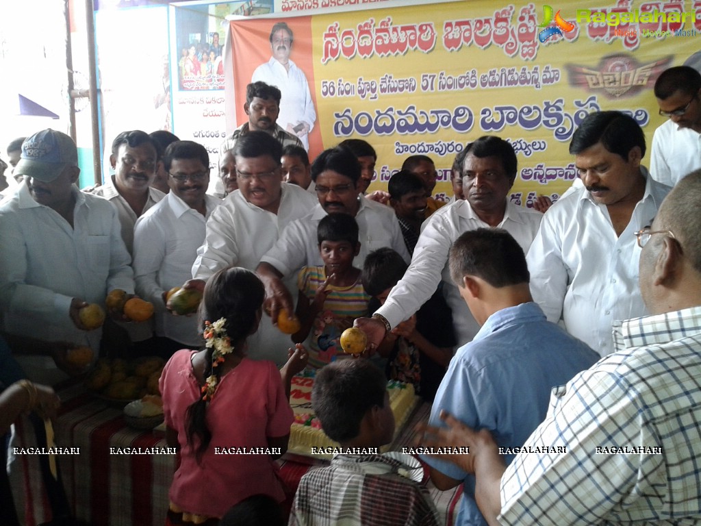 Balakrishna Birthday Celebrations at Kadapa