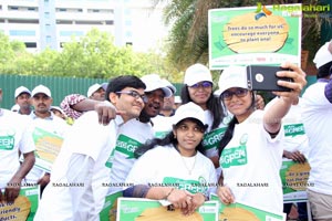 Go Green Walk