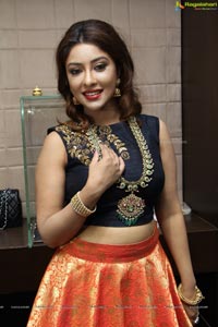 Payal Ghosh Hiya Exquisite Diamond Jewellery