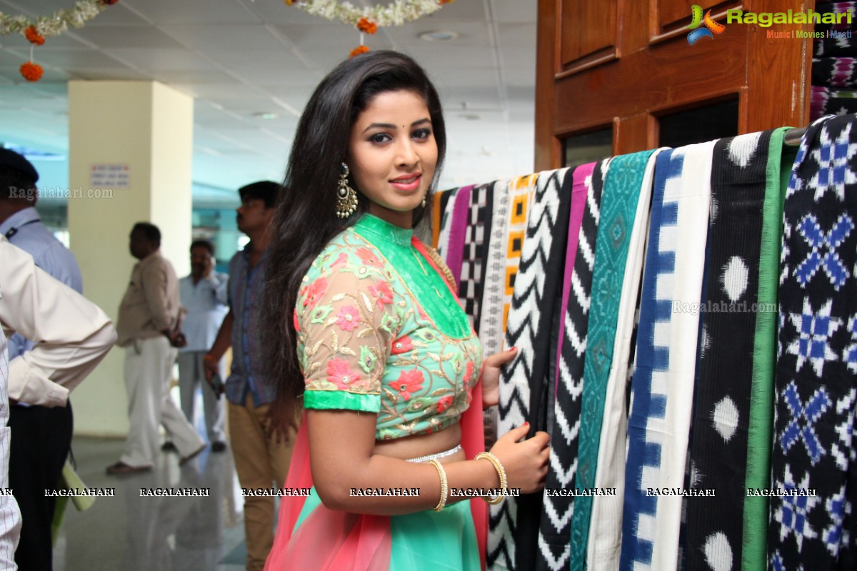 Pavani launches Pochampally IKAT Art Mela at Kushaiguda