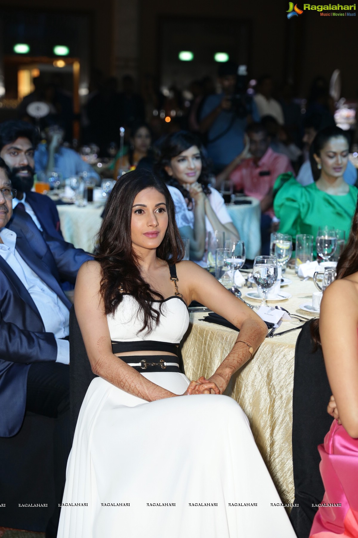 The South Indian Business Achievers Awards 2016, Singapore