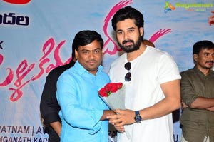 Pelliki Mundu Prema Katha Platinum Disc