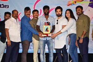 Pelliki Mundu Prema Katha Platinum Disc