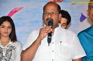 Pelliki Mundu Prema Katha Platinum Disc