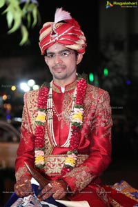 Kehtan Divya Wedding Reception