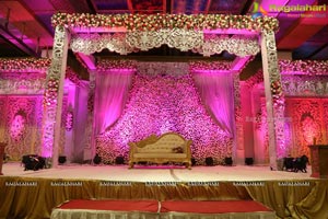 Kehtan Divya Wedding Reception