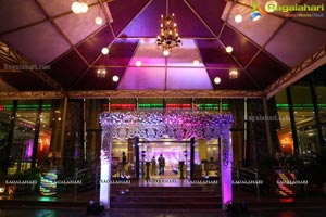 Kehtan Divya Wedding Reception