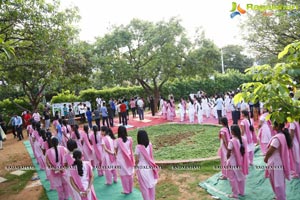 International Day of Yoga