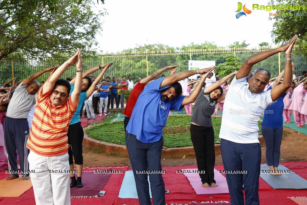 Nandamuri Balakrishna at addlife 'International Day of Yoga' Yoga Camp at KBR Park, Hyderabad