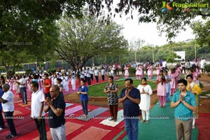 International Day of Yoga