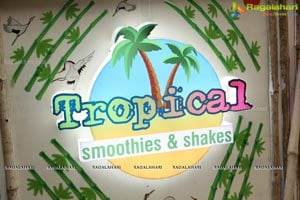 Tropical Smoothies and Shakes